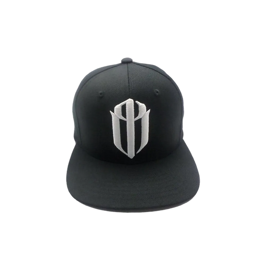 SNAPBACK